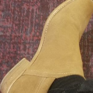Steve Madden Brown Ankle Booties